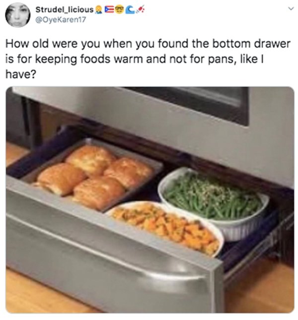 old were you when you found out - Strudel_licious Esc How old were you when you found the bottom drawer is for keeping foods warm and not for pans, I have?