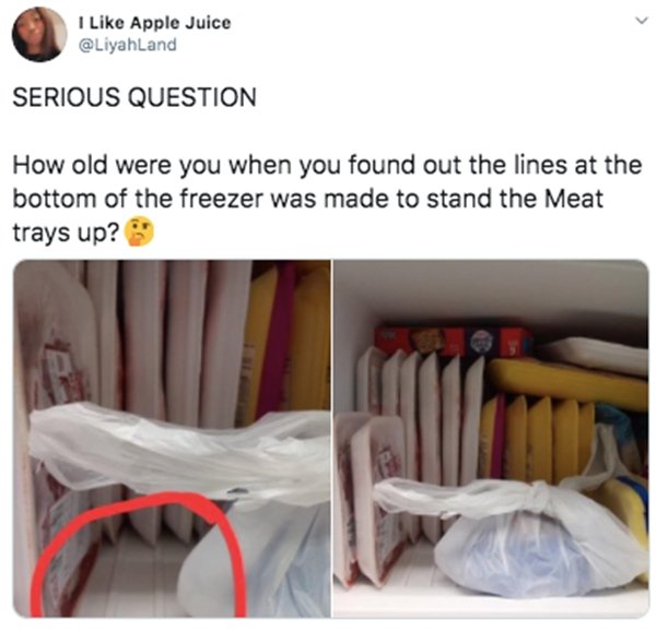 material - I Apple Juice Serious Question How old were you when you found out the lines at the bottom of the freezer was made to stand the Meat trays up?