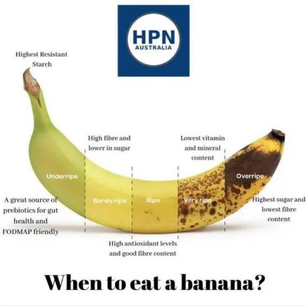 eat banana - Hpn Australia Highest Resistant Starch High fibre and lower in sugar lowest vitamin and mineral content Underripe Overripe Barely ripe Ripe Very ripe A great source of prebiotics for gut health and Fodmap friendly Highest sugar and lowest fib