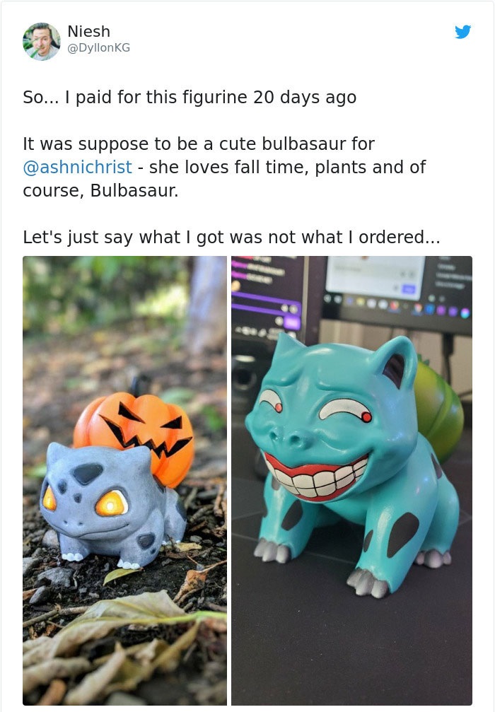 expectation vs reality - Niesh So... I paid for this figurine 20 days ago It was suppose to be a cute bulbasaur for she loves fall time, plants and of course, Bulbasaur. Let's just say what I got was not what I ordered...