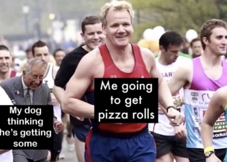 gordon ramsay running - Tar Me going to get ry pizza rolls Lt. My dog thinking he's getting some odiola