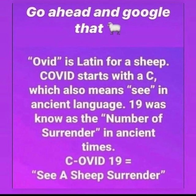 alianza para el cambio - Go ahead and google that "Ovid" is Latin for a sheep. Covid starts with a C, which also means "see" in ancient language. 19 was know as the "Number of Surrender" in ancient times. COvid 19 "See A Sheep Surrender"