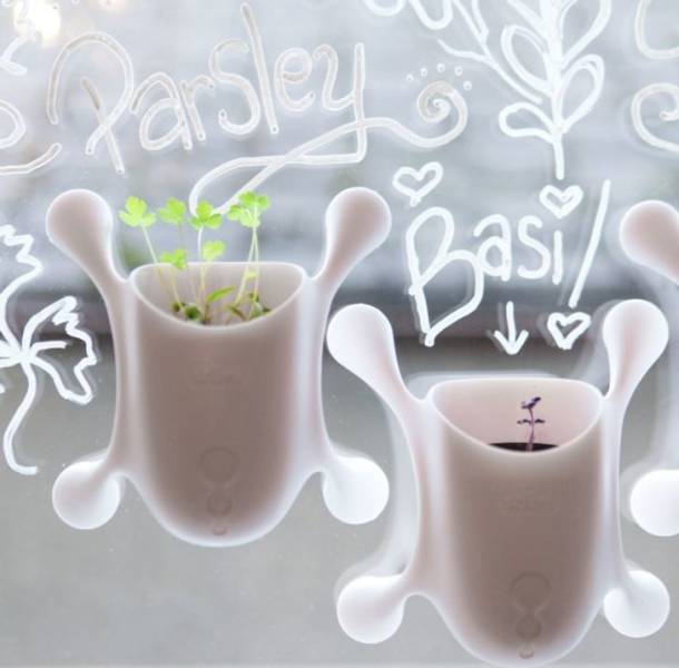 Sticky window planters