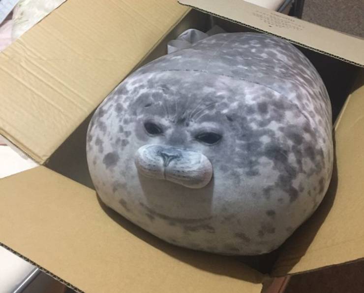 Fluffy seal pillow