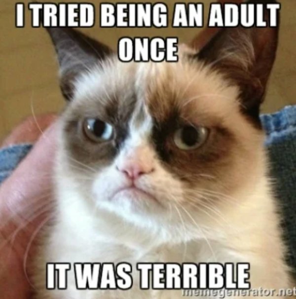 grumpy cat cat memes - I Tried Being An Adult Once It Was Terrible memegenerator.net