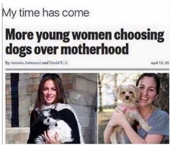 more young women choosing dogs over motherhood - My time has come More young women choosing dogs over motherhood Hy Antonio Antenucci and David kui