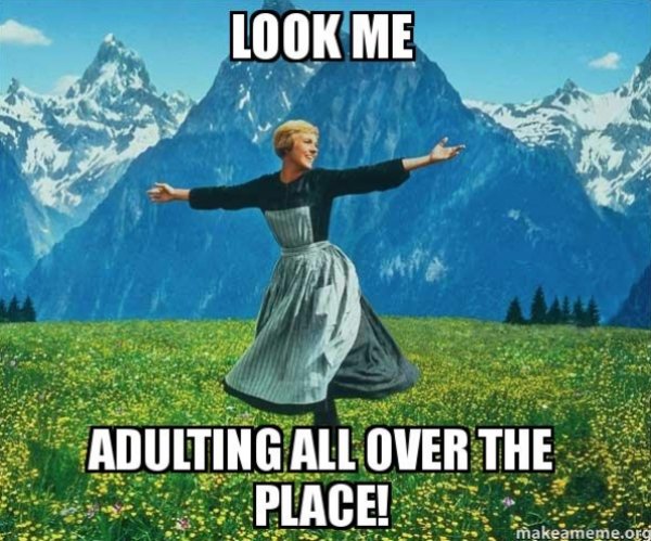 sound of music - Look Me Adulting All Over The Place! makeameme.org