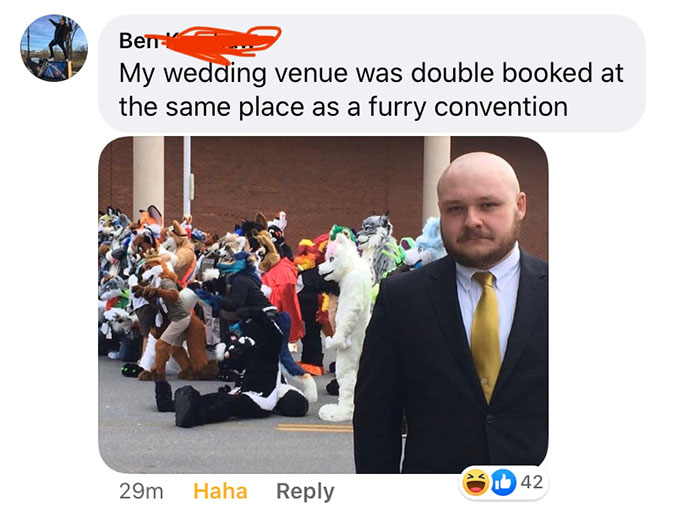 my wedding was double booked with a furry convention - Ben" My wedding venue was double booked at the same place as a furry convention 29m Haha b 42