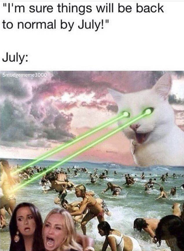 catzilla meme - "I'm sure things will be back to normal by July!" July Smudgememe3000