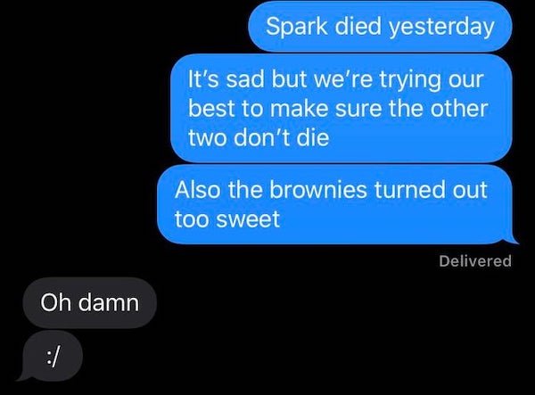 Spark died yesterday It's sad but we're trying our best to make sure the other two don't die Also the brownies turned out too sweet Delivered Oh damn