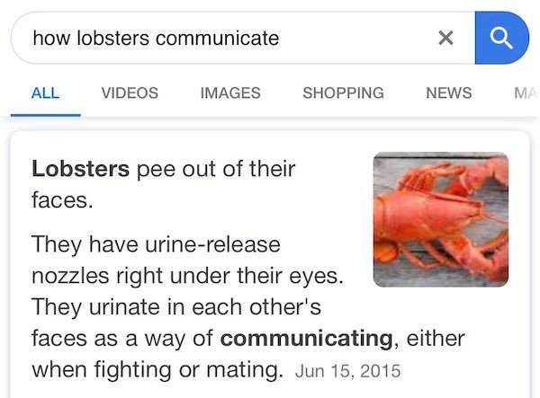 how lobsters communicate Lobsters pee out of their faces. They have urine release nozzles right under their eyes. They urinate in each other's faces as a way of communicating, either when fighting or mating.