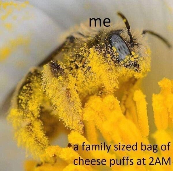bumble bee meme - me a family sized bag of cheese puffs at 2AM
