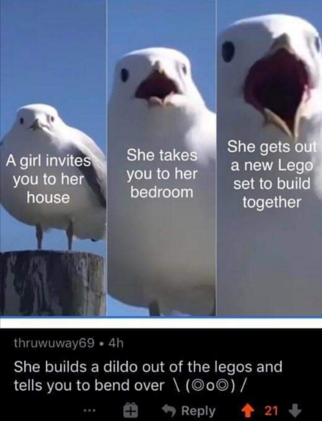 Internet meme - A girl invites you to her She takes you to her bedroom She gets out a new Lego set to build together house thruwuway69.4h She builds a dildo out of the legos and tells you to bend over \ 000 21