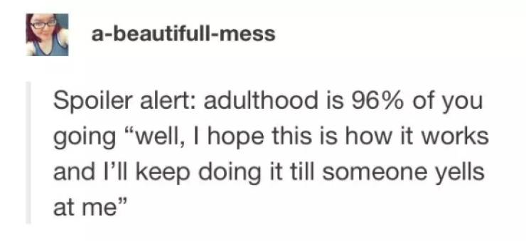 The One Thing You Can't Replace - abeautifullmess Spoiler alert adulthood is 96% of you going "well, I hope this is how it works and I'll keep doing it till someone yells at me"