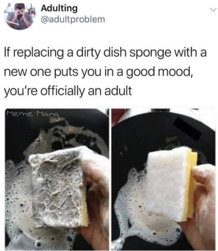 dirty dish meme - Adulting If replacing a dirty dish sponge with a new one puts you in a good mood, you're officially an adult Meme Mang