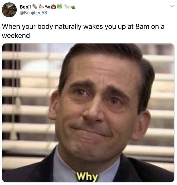 office memes - Benji? When your body naturally wakes you up at 8am on a weekend Why