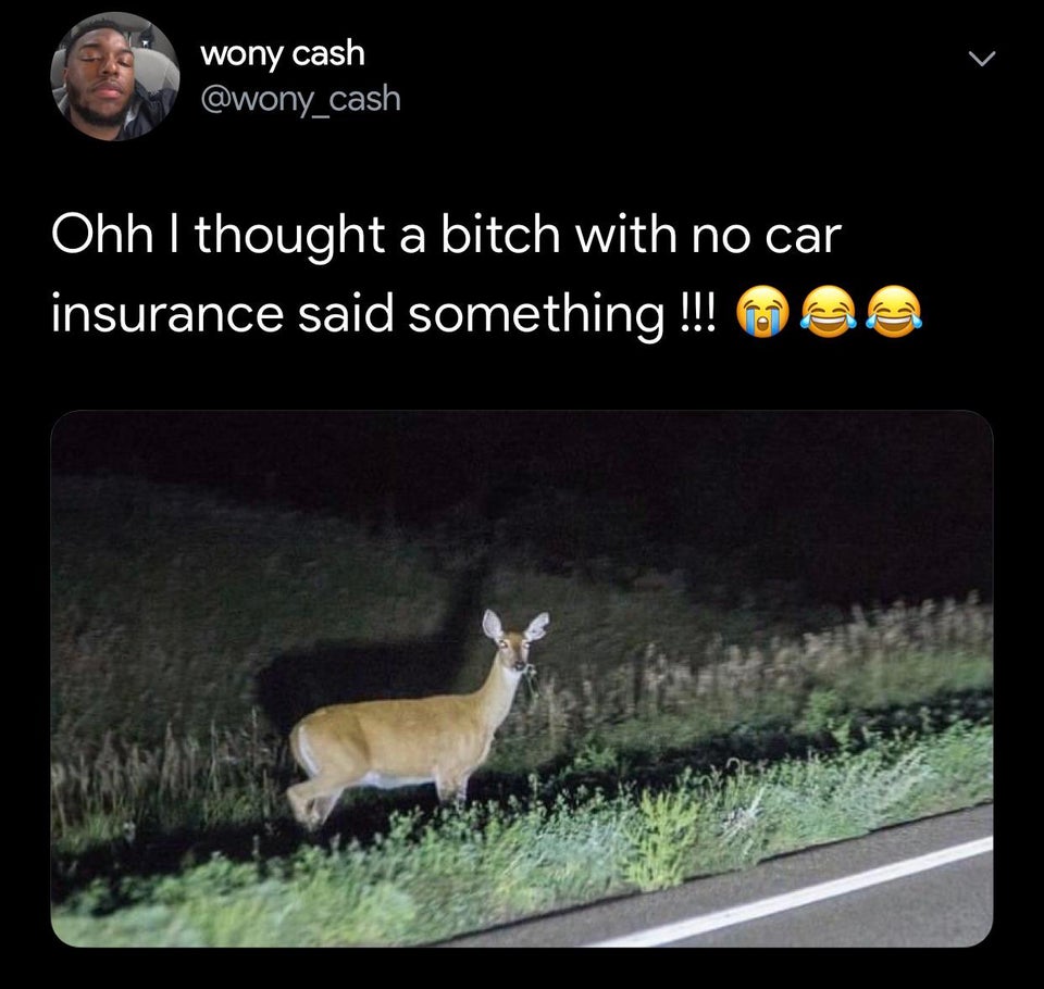 fauna - wony cash Ohh I thought a bitch with no car insurance said something !!! C C