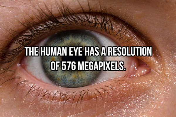 iris freckles - The Human Eye Has A Resolution Of 576 Megapixels.