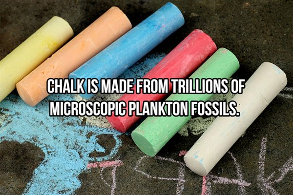 plastic - Chalk Is Made From Trillions Of Microscopic Plankton Fossils