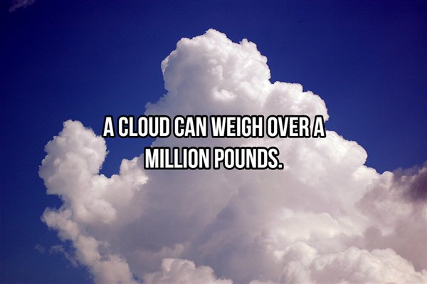 cumulus clouds - A Cloud Can Weigh Overa Million Pounds