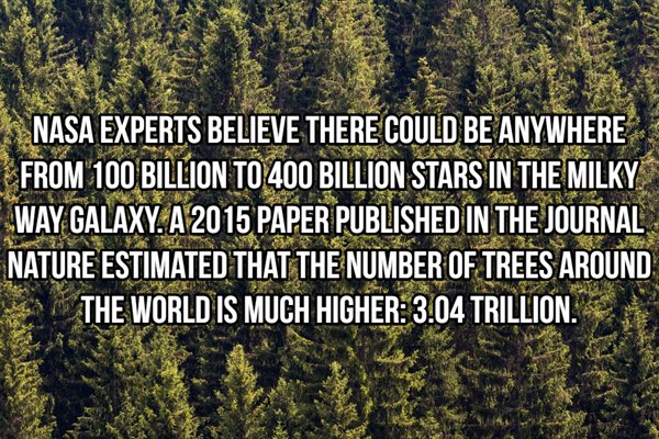 vegetation - Nasa Experts Believe There Could Be Anywhere From 100 Billion To 400 Billion Stars In The Milky Way Galaxy. A 2015 Paper Published In The Journal Nature Estimated That The Number Of Trees Around The World Is Much Higher 3.04 Trillion.