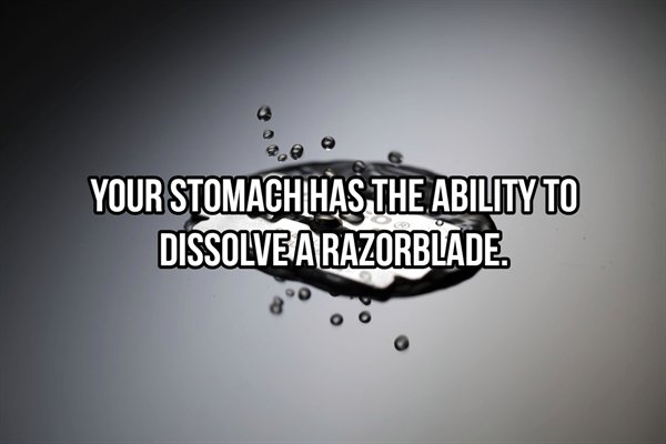 mission indy - Your Stomach Has The Ability To Dissolve A Razorblade.