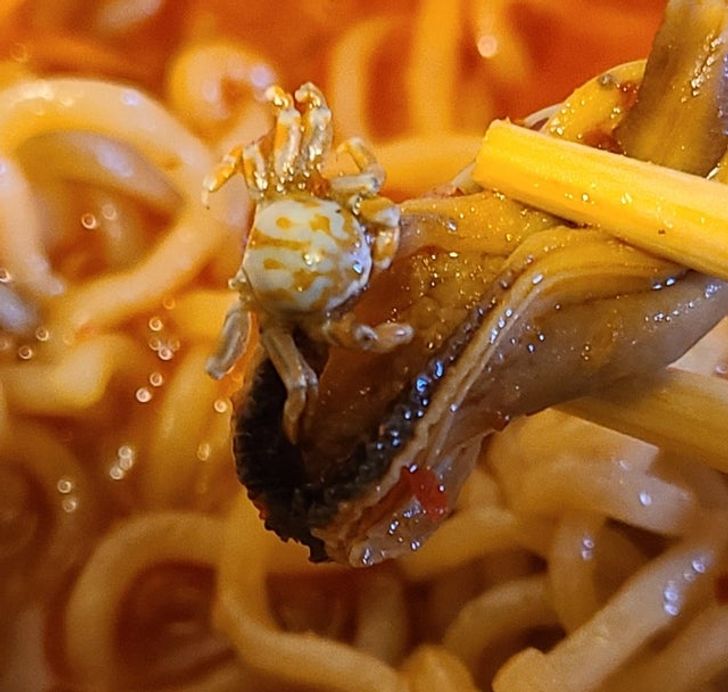 small crab in bowl of ramen soup