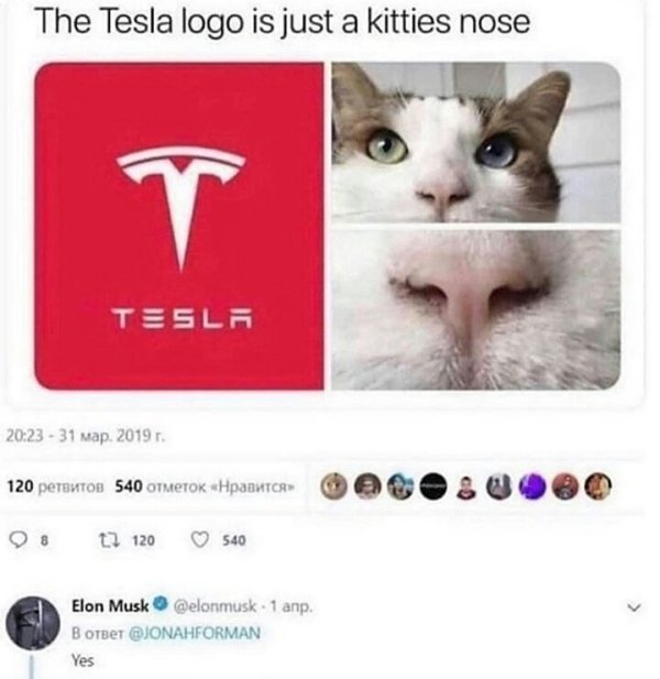 tesla cat nose - The Tesla logo is just a kitties nose T Tesla 31 map. 2019 r. 120 540 12 120 540 Elon Musk . 1 anp. BotBeT Yes