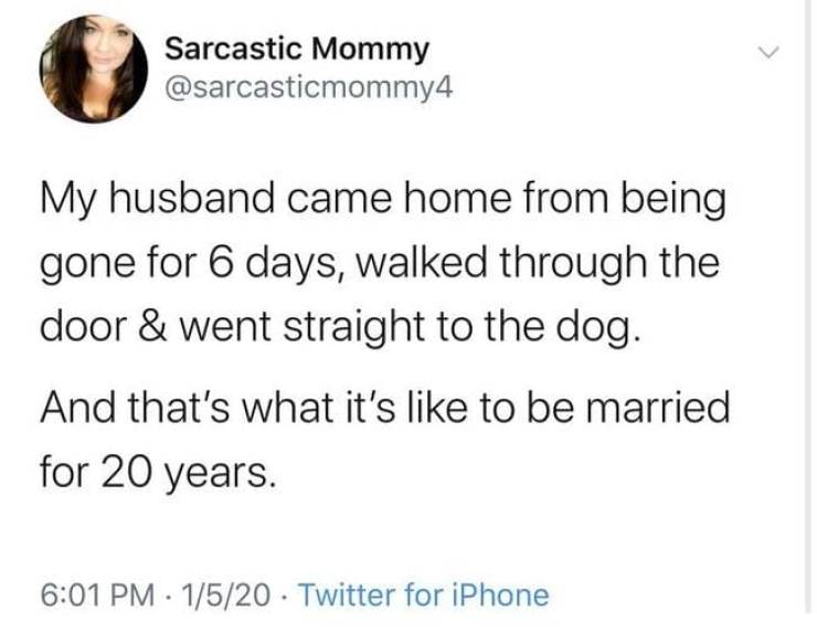Sarcastic Mommy My husband came home from being gone for 6 days, walked through the door & went straight to the dog. And that's what it's to be married for 20 years. 1520 Twitter for iPhone