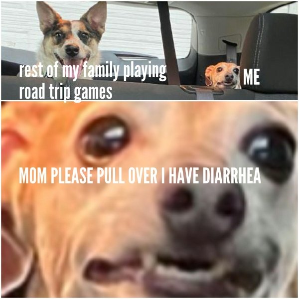 photo caption - rest of my family playing road trip games Me Mom Please Pull Over I Have Diarrhea