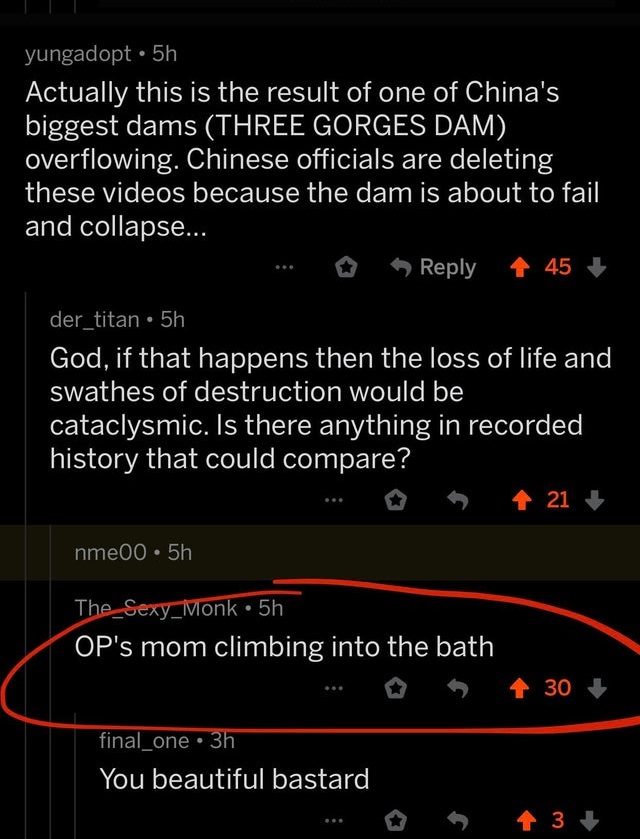 screenshot - yungadopt 5h Actually this is the result of one of China's biggest dams Three Gorges Dam overflowing. Chinese officials are deleting these videos because the dam is about to fail and collapse... 45 der_titan 5h God, if that happens then the l