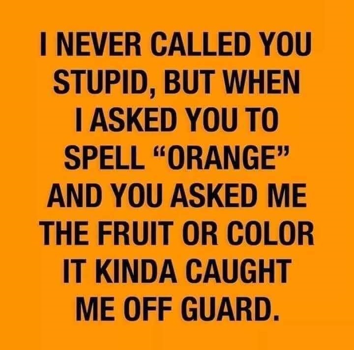 orange - I Never Called You Stupid, But When I Asked You To Spell "Orange" And You Asked Me The Fruit Or Color It Kinda Caught Me Off Guard.