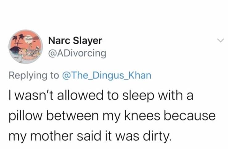 diagram - Narc Slayer I wasn't allowed to sleep with a pillow between my knees because my mother said it was dirty.