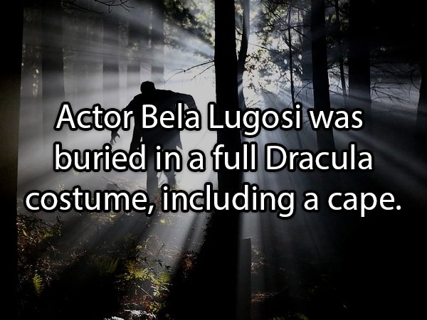 frankenstein forest - Actor Bela Lugosi was buried in a full Dracula costume, including a cape.