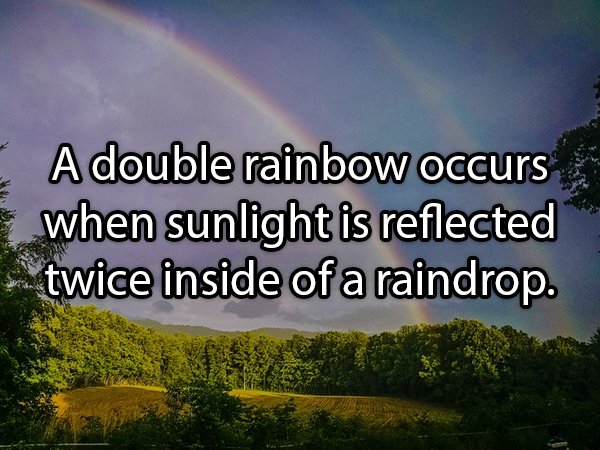 double rainbow paul vasquez - A double rainbow occurs when sunlight is reflected twice inside of a raindrop.