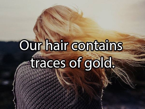 Our hair contains traces of gold.