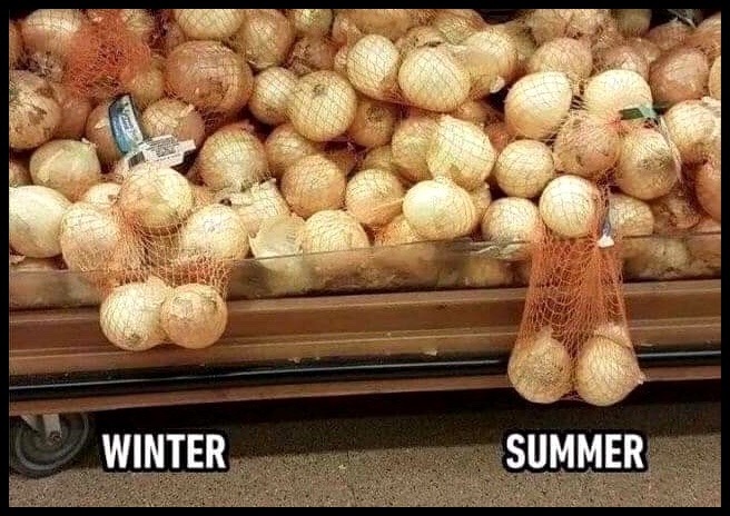 only men will understand meme - Winter Summer