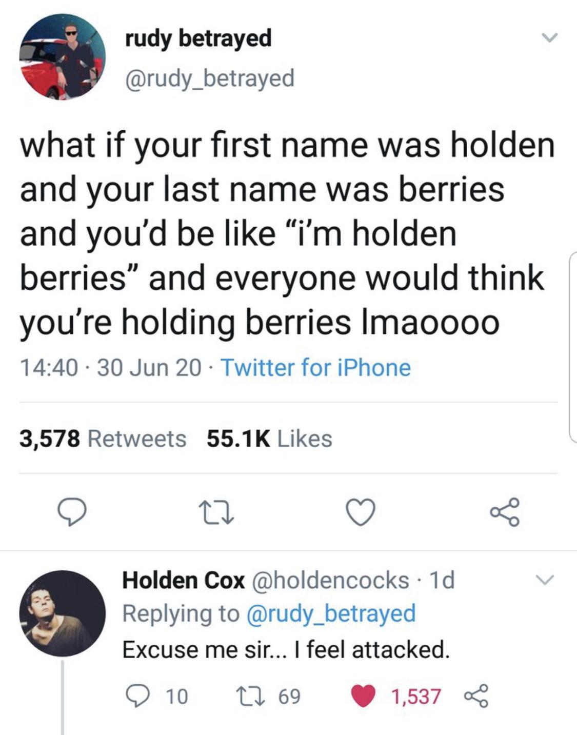 point - rudy betrayed what if your first name was holden and your last name was berries and you'd be "i'm holden berries and everyone would think you're holding berries Imaoooo 30 Jun 20 Twitter for iPhone 3,578 27 8 Holden Cox 1d Excuse me sir... I feel 