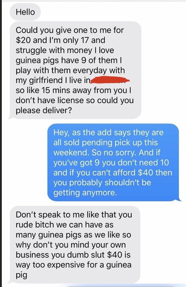 document - Hello Could you give one to me for $20 and I'm only 17 and struggle with money I love guinea pigs have 9 of them | play with them everyday with my girlfriend I live in so 15 mins away from you! don't have license so could you please deliver? He