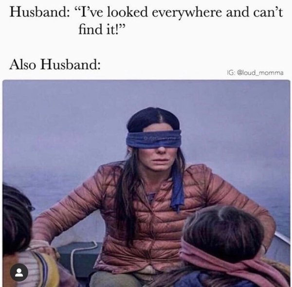 bird box 9gag - Husband I've looked everywhere and can't find it! Also Husband Ig