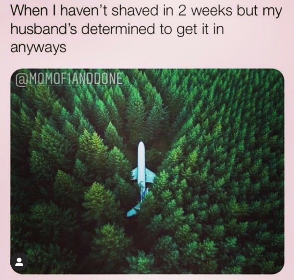 aviation and sustainability - When I haven't shaved in 2 weeks but my husband's determined to get it in anyways