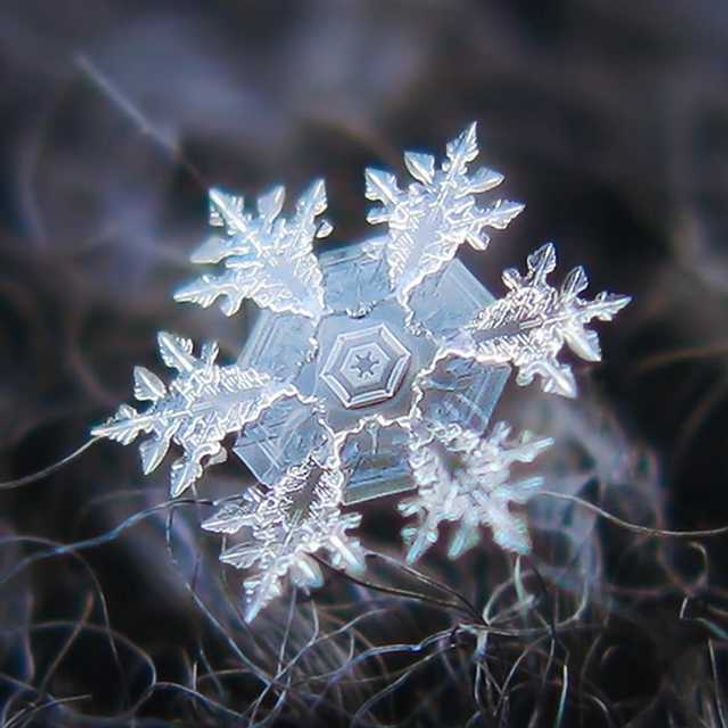 A macro photo of a perfect snowflake