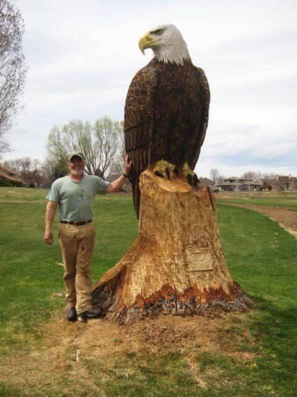 eagle sculpture in tree