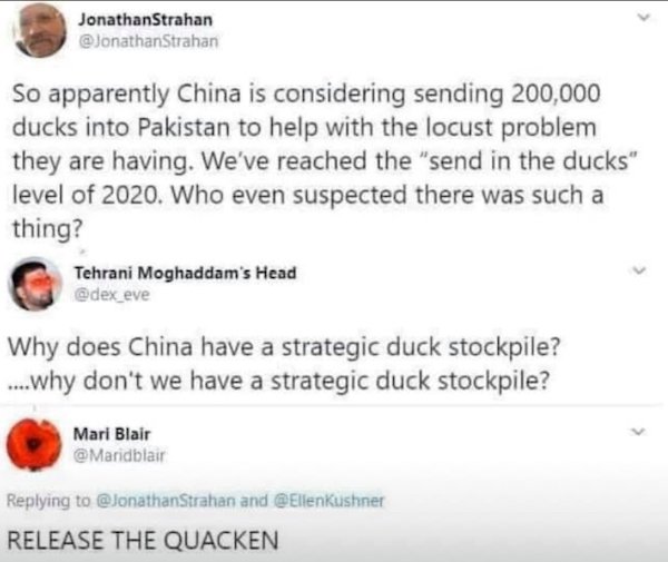 document - Jonathan Strahan Strahan So apparently China is considering sending 200,000 ducks into Pakistan to help with the locust problem they are having. We've reached the "send in the ducks" level of 2020. Who even suspected there was such a thing? Teh