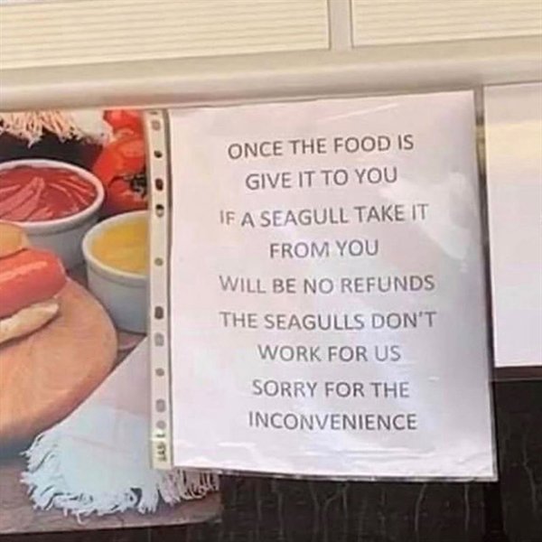 seagulls do not work for us - Once The Food Is Give It To You If A Seagull Take It From You Will Be No Refunds The Seagulls Don'T Work For Us Sorry For The Inconvenience Las Lo