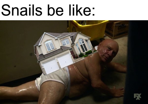 danny devito snail meme - Snails be . .