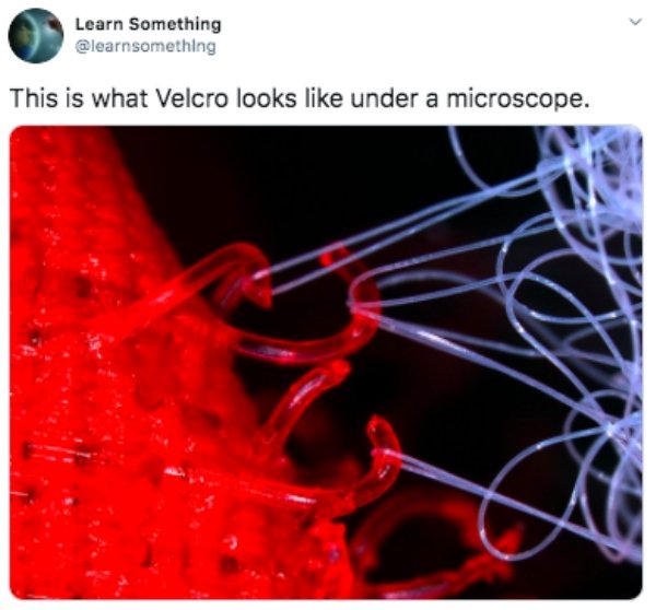 velcro close up - Learn Something This is what Velcro looks under a microscope.