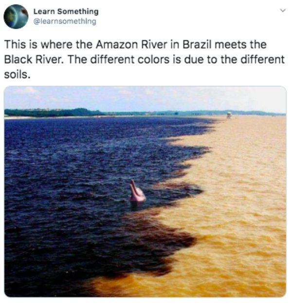 amazon river and black river - Learn Something This is where the Amazon River in Brazil meets the Black River. The different colors is due to the different soils.