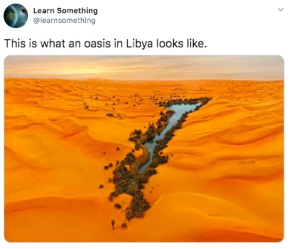 libya nature - Learn Something This is what an oasis in Libya looks .