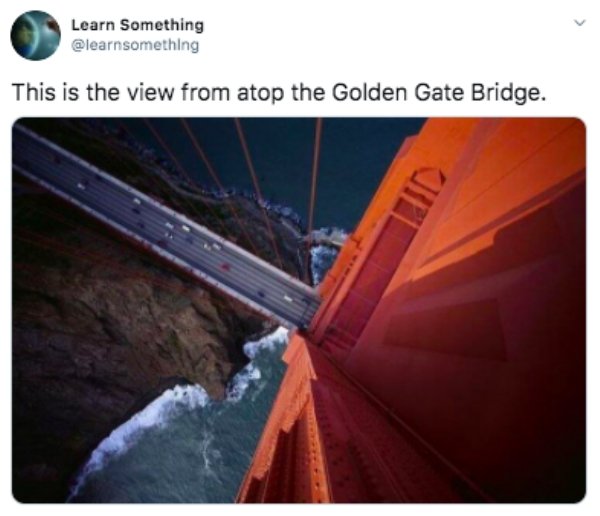 golden gate bridge meme - Learn Something This is the view from atop the Golden Gate Bridge.
